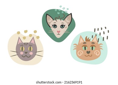 Cabezas de gatos con ilustraciones de garabatos. Bocadillos de gatito, colección de personajes con elementos de dibujos animados a mano, puntos y puntos, líneas, arte vectorial colorido, impresión. Diseño de carácter animal.