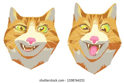 Cats heads emoticons vector