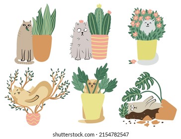 Cats and houseplants set. Hand drawn flat vector illustration isolated on white. Funny  animal characters. Potted plants and pets.