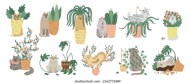 Se ponen a disposición gatos y plantas. Ilustración vectorial plana dibujada a mano aislada en blanco. Caracteres animales divertidos y plantas de la casa. Plantas y mascotas.