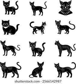 Cats icon set. Different type of cats. Vector illustration for prints, clothing, packaging, stickers,design.This is an editable eps vector file.