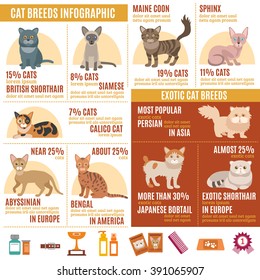 Cats infographics set with exotic breed icons and pet care elements vector illustration