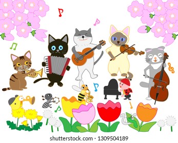 Cats and insects delighted that spring came and held a concert.