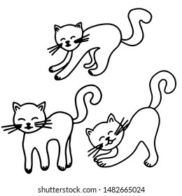 Cats, isolated on white background