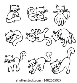 Cats, isolated on white background