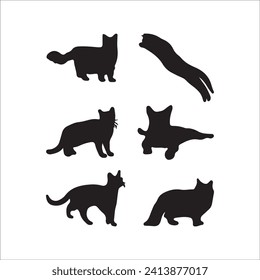 Cats, Isolated On White Background