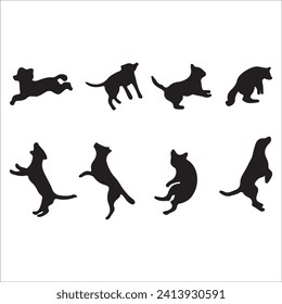 Cats, Isolated On White Background ,Black Cat, Black Cat Image