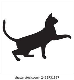 Cats, Isolated On White Background ,Black Cat, Black Cat Image