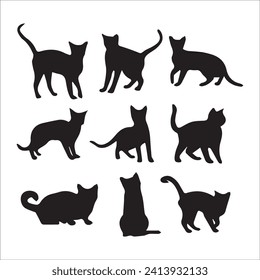 Cats, Isolated On White Background ,Black Cat, Black Cat Image