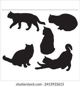 Cats, Isolated On White Background ,Black Cat, Black Cat Image