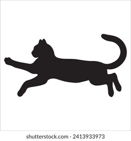 Cats, Isolated On White Background ,Black Cat, Black Cat Image