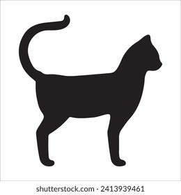 Cats, Isolated On White Background ,Black Cat, Black Cat Image