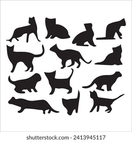 Cats, Isolated On White Background ,Black Cat, Black Cat Image