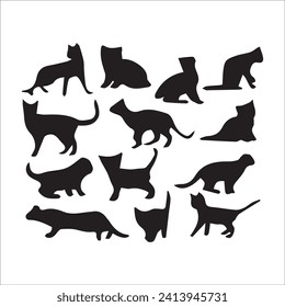 Cats, Isolated On White Background ,Black Cat, Black Cat Image