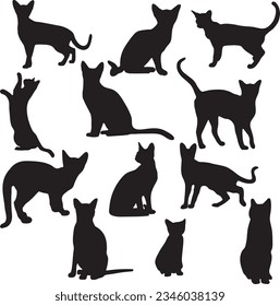 Cats Isolated silhouette on white back ground. 