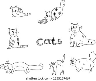 Cats, kittens. Cute pets. Vector illustration. 