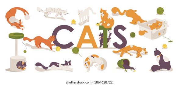 Cats large lettering with kitties playing, sleeping and moving. Vector pet characters drawn in vibrant colors with accessories