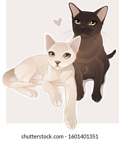 cats laying on pink square background