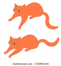 Los gatos están en diferentes poses. Mascotas con fondo blanco.