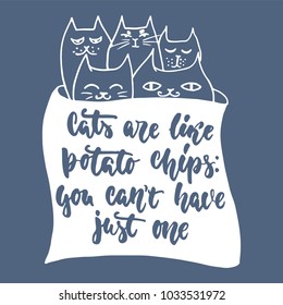 Cats are like potato chips, you can't have just one - hand drawn lettering phrase for animal lovers on the dark blue background. Fun brush ink vector illustration for banners, greeting card, poster