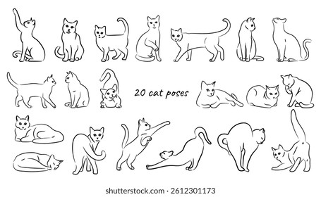 Cats line poses set on white background. Vector illustration