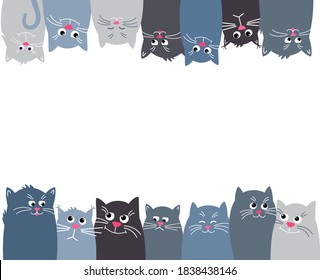 Cats look up and down. Horizontal banner with many Cute pet on a white background. crowd Cute pet grey. Different muzzle of cats, funny, sad, dreamy.