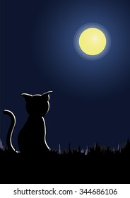 cats' love and miss