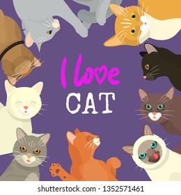 Cats love show banner grooming or veterinary feline flyer vector illustration. Cute kitten pet poster. Funny animal studio. Lovely friendship advertisement pussy cat character.