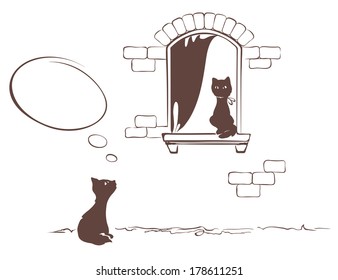 Cat's love tryst