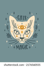 Cats magic halloween vector greeting card