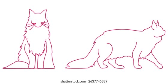 Cats Maine Coon Cats Maine Coon Cats Maine Coon