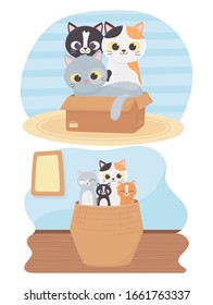 cats make me happy, cute kittens in box and wicker basket cartoon vector illustration