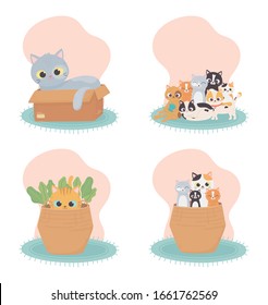 cats make me happy, many cats in basket box in carpet cartoon vector illustration