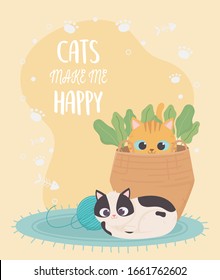 cats make me happy, spotted cat with ball of wool and kitten in basket vector illustration
