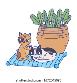 cats make me happy, spotted cats resting in cushion with basket vector illustration