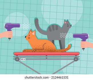 cats mascots with hair dreyers characters
