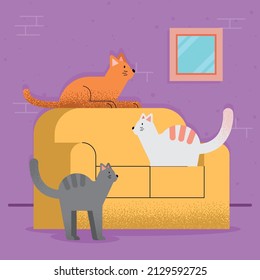 cats mascots in sofa characters