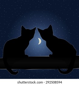 Cats and the moon