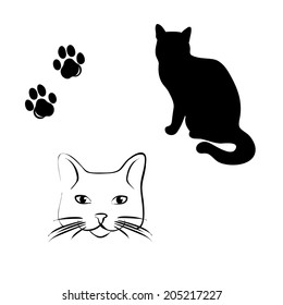 cat's muzzle, paws and silhouette