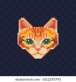 Cats Muzzle Pixel Art Cat Head Stock Vector (Royalty Free) 1012293793 ...