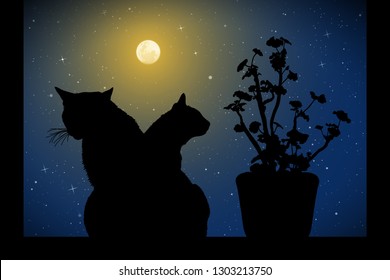 Cats near window on moonlit night. Vector illustration with silhouettes of kittens and flower in pot. Full moon in starry sky