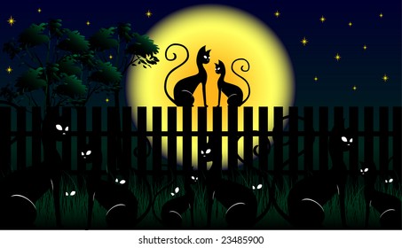 cats at night - valentine's day vector illustration