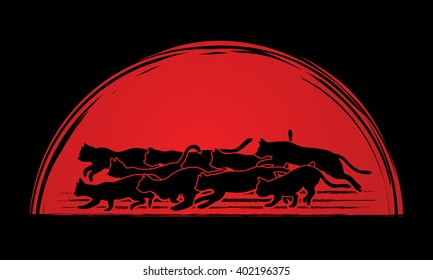 Cats nine lives designed on sunset background graphic vector.