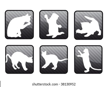 Cats on the background in different expressions