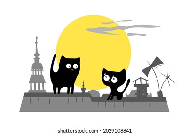 Cats On The City Roof. A Chance Meeting.