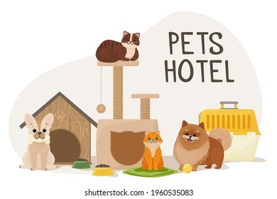 Cats on the couch and dogs near the carrier and the house. Food and entertainment for animals. Vector illustration isolated on white background