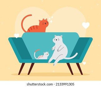 cats on couch on yellow background