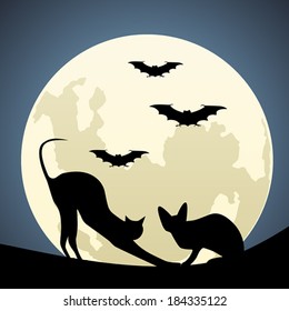 881 Scared cat moon Images, Stock Photos & Vectors | Shutterstock