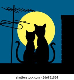 cats on a night roof