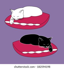 Cats on pillows